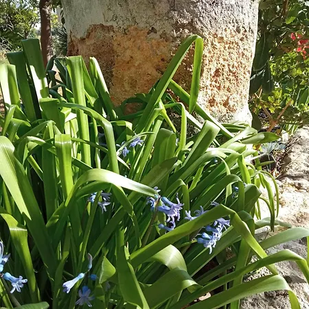 Apartment Antica Residenza Estiva Sannicola